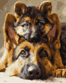 Розпис по номерах 40х50 KHO6944 Разом завжди "Ідейка"