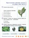 Я досліджую світ 3 клас частина 1 робочий зошит до підручника гільберг Ціна (цена) 78.38грн. | придбати купити (купить) Я досліджую світ 3 клас частина 1 робочий зошит до підручника гільберг доставка по Украине, купить книгу, детские игрушки, компакт диски 4 Я досліджую світ 3 клас частина 1 робочий зошит до підручника гільберг Ціна (цена) 78.38грн. | придбати купити (купить) Я досліджую світ 3 клас частина 1 робочий зошит до підручника гільберг доставка по Украине, купить книгу, детские игрушки, компакт диски 4