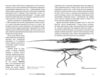 Динозаври Новий погляд Ціна (цена) 499.00грн. | придбати  купити (купить) Динозаври Новий погляд доставка по Украине, купить книгу, детские игрушки, компакт диски 7