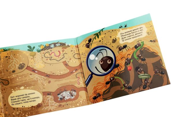 Книжка з віконцями Хто сховався під землею Ціна (цена) 56.10грн. | придбати  купити (купить) Книжка з віконцями Хто сховався під землею доставка по Украине, купить книгу, детские игрушки, компакт диски 2