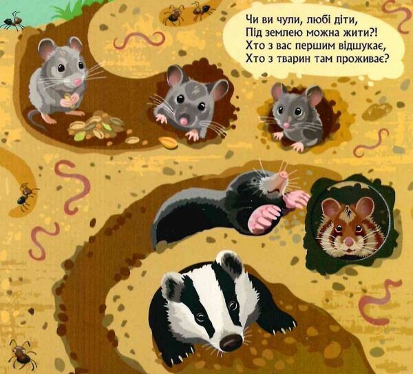 Книжка з віконцями Хто сховався під землею Ціна (цена) 56.10грн. | придбати  купити (купить) Книжка з віконцями Хто сховався під землею доставка по Украине, купить книгу, детские игрушки, компакт диски 3