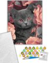 Розпис по номерах 40х50 11563-АC Сірий котик Art Craft арт крафт Ціна (цена) 213.60грн. | придбати  купити (купить) Розпис по номерах 40х50 11563-АC Сірий котик Art Craft арт крафт доставка по Украине, купить книгу, детские игрушки, компакт диски 1