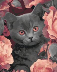 Розпис по номерах 40х50 11563-АC Сірий котик "Art Craft" арт крафт