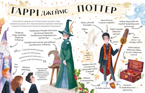 ГАРРІ ПОТТЕР Міні-Поттери про Гаррі Поттера Ціна (цена) 367.50грн. | придбати  купити (купить) ГАРРІ ПОТТЕР Міні-Поттери про Гаррі Поттера доставка по Украине, купить книгу, детские игрушки, компакт диски 1