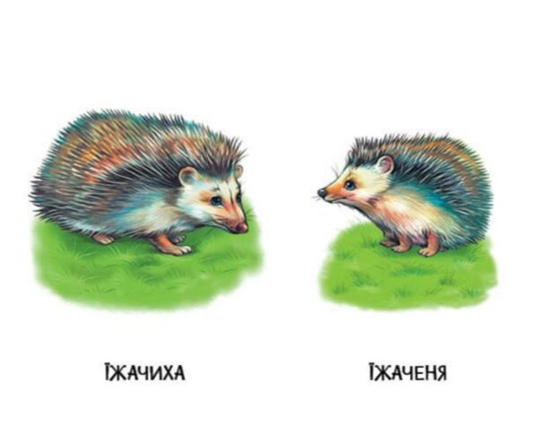 22 картинки Мами і дитинчата Ціна (цена) 59.30грн. | придбати  купити (купить) 22 картинки Мами і дитинчата доставка по Украине, купить книгу, детские игрушки, компакт диски 1