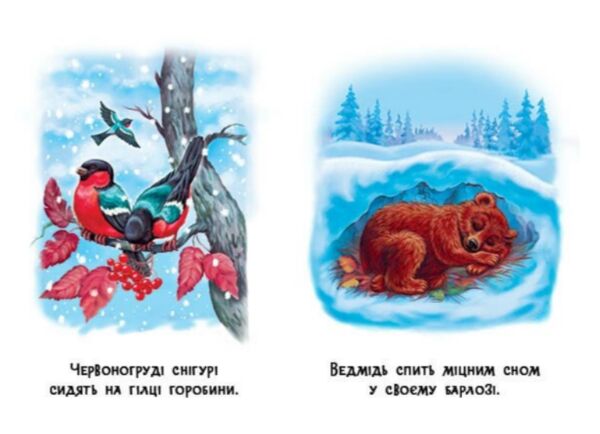 22 картинки Пори року Ціна (цена) 59.30грн. | придбати  купити (купить) 22 картинки Пори року доставка по Украине, купить книгу, детские игрушки, компакт диски 3