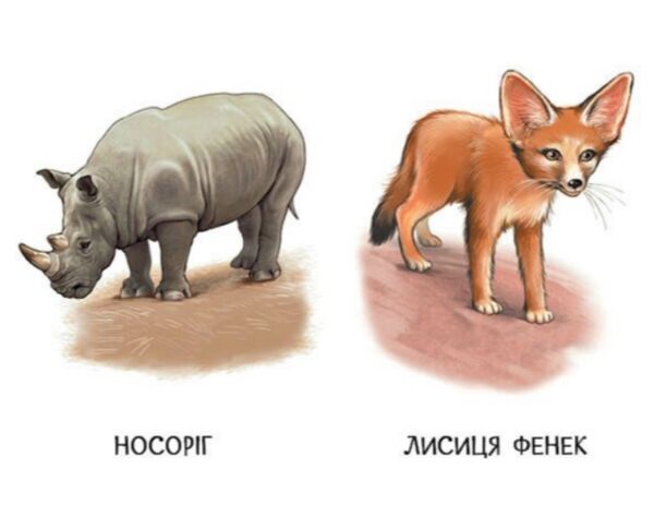 22 картинки Прогулянка зоопарком Ціна (цена) 59.30грн. | придбати  купити (купить) 22 картинки Прогулянка зоопарком доставка по Украине, купить книгу, детские игрушки, компакт диски 1