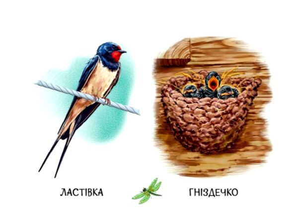 22 картинки Хто живе у будиночку Ціна (цена) 59.30грн. | придбати  купити (купить) 22 картинки Хто живе у будиночку доставка по Украине, купить книгу, детские игрушки, компакт диски 1