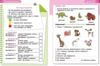 STEM-Старт Наука про Землю та космос Робочий зошит 4 клас Ціна (цена) 68.00грн. | придбати  купити (купить) STEM-Старт Наука про Землю та космос Робочий зошит 4 клас доставка по Украине, купить книгу, детские игрушки, компакт диски 3