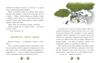 Таємниця сімох козенят лісовий детектив Ціна (цена) 241.90грн. | придбати  купити (купить) Таємниця сімох козенят лісовий детектив доставка по Украине, купить книгу, детские игрушки, компакт диски 4