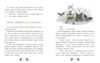 Таємниця сімох козенят лісовий детектив Ціна (цена) 241.90грн. | придбати  купити (купить) Таємниця сімох козенят лісовий детектив доставка по Украине, купить книгу, детские игрушки, компакт диски 6