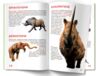 велика книжка доісторичні тварини Ціна (цена) 39.87грн. | придбати  купити (купить) велика книжка доісторичні тварини доставка по Украине, купить книгу, детские игрушки, компакт диски 3