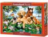 Пазли castorland 500 елементів Summer Pals 53230 Ціна (цена) 235.10грн. | придбати  купити (купить) Пазли castorland 500 елементів Summer Pals 53230 доставка по Украине, купить книгу, детские игрушки, компакт диски 0