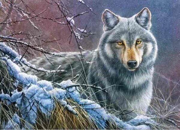 Пазли CherryPazzi 1000 елементів Grey Wolf 30080 Ціна (цена) 349.10грн. | придбати  купити (купить) Пазли CherryPazzi 1000 елементів Grey Wolf 30080 доставка по Украине, купить книгу, детские игрушки, компакт диски 1