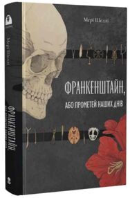 Франкенштейн, або сучасний прометей "Небобук"