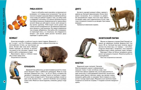 енциклопедія тварин    серія всезнайко Ціна (цена) 89.20грн. | придбати  купити (купить) енциклопедія тварин    серія всезнайко доставка по Украине, купить книгу, детские игрушки, компакт диски 2