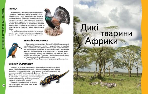 енциклопедія тварин    серія всезнайко Ціна (цена) 89.20грн. | придбати  купити (купить) енциклопедія тварин    серія всезнайко доставка по Украине, купить книгу, детские игрушки, компакт диски 4