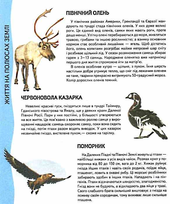 енциклопедія тварин    серія всезнайко Ціна (цена) 84.50грн. | придбати  купити (купить) енциклопедія тварин    серія всезнайко доставка по Украине, купить книгу, детские игрушки, компакт диски 2