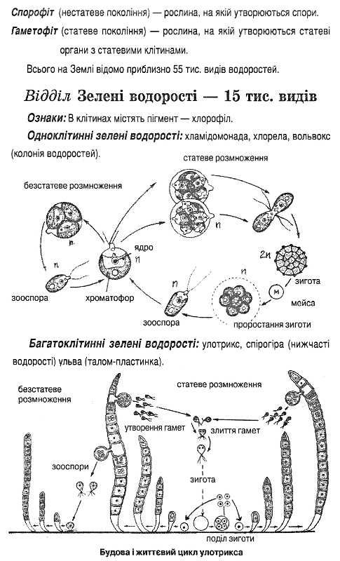 біологія 6-11 класи поняття терміни таблиці та схеми книга Ціна (цена) 59.00грн. | придбати  купити (купить) біологія 6-11 класи поняття терміни таблиці та схеми книга доставка по Украине, купить книгу, детские игрушки, компакт диски 6