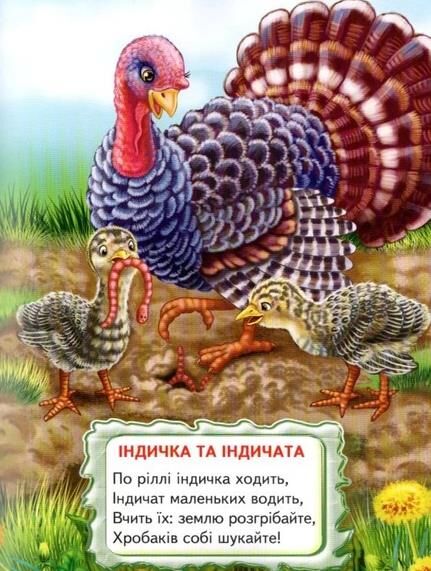 віршики - цікавинки книга    серія промінець Ціна (цена) 116.60грн. | придбати  купити (купить) віршики - цікавинки книга    серія промінець доставка по Украине, купить книгу, детские игрушки, компакт диски 5