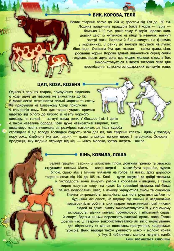 енциклопедія з наліпками свійські тварини + настільна гра книга Ціна (цена) 64.89грн. | придбати  купити (купить) енциклопедія з наліпками свійські тварини + настільна гра книга доставка по Украине, купить книгу, детские игрушки, компакт диски 2