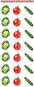 роздавальний розрізний матеріал овочі     (Ранок)