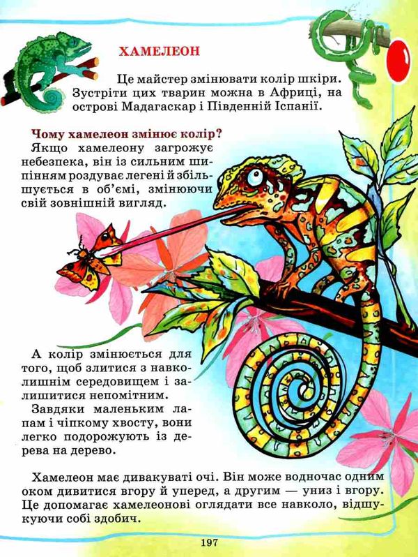 енциклопедія для малят книга Ціна (цена) 301.60грн. | придбати  купити (купить) енциклопедія для малят книга доставка по Украине, купить книгу, детские игрушки, компакт диски 10