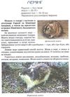 тваринний світ енциклопедія книга Ціна (цена) 193.00грн. | придбати купити (купить) тваринний світ енциклопедія книга доставка по Украине, купить книгу, детские игрушки, компакт диски 2 тваринний світ енциклопедія книга Ціна (цена) 193.00грн. | придбати купити (купить) тваринний світ енциклопедія книга доставка по Украине, купить книгу, детские игрушки, компакт диски 2