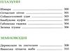 тваринний світ енциклопедія книга Ціна (цена) 193.00грн. | придбати купити (купить) тваринний світ енциклопедія книга доставка по Украине, купить книгу, детские игрушки, компакт диски 11 тваринний світ енциклопедія книга Ціна (цена) 193.00грн. | придбати купити (купить) тваринний світ енциклопедія книга доставка по Украине, купить книгу, детские игрушки, компакт диски 11