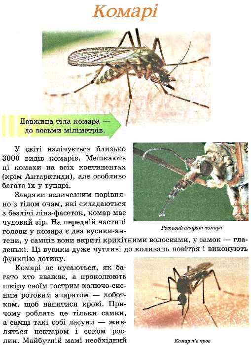 тетельман світ дивовижних комах книга    ілюстрована енциклопедія для дітей Се Ціна (цена) 56.30грн. | придбати  купити (купить) тетельман світ дивовижних комах книга    ілюстрована енциклопедія для дітей Се доставка по Украине, купить книгу, детские игрушки, компакт диски 2