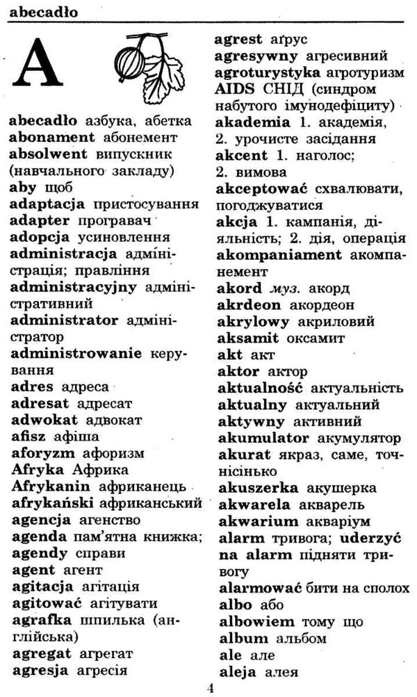 ткачова словник польсько український українсько польський Ціна (цена) 40.00грн. | придбати  купити (купить) ткачова словник польсько український українсько польський доставка по Украине, купить книгу, детские игрушки, компакт диски 3