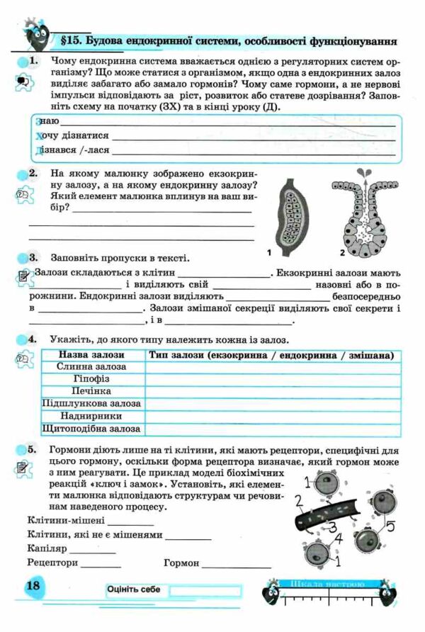 Біологія 8 клас робочий зошит Ціна (цена) 69.60грн. | придбати  купити (купить) Біологія 8 клас робочий зошит доставка по Украине, купить книгу, детские игрушки, компакт диски 3