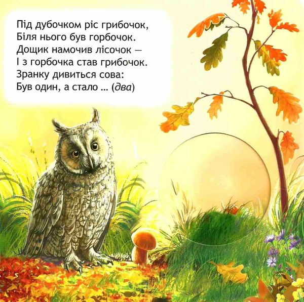 книжка-схованка яка цифра сховалась? книга     ЗНИЖКА! Ціна (цена) 88.20грн. | придбати  купити (купить) книжка-схованка яка цифра сховалась? книга     ЗНИЖКА! доставка по Украине, купить книгу, детские игрушки, компакт диски 2
