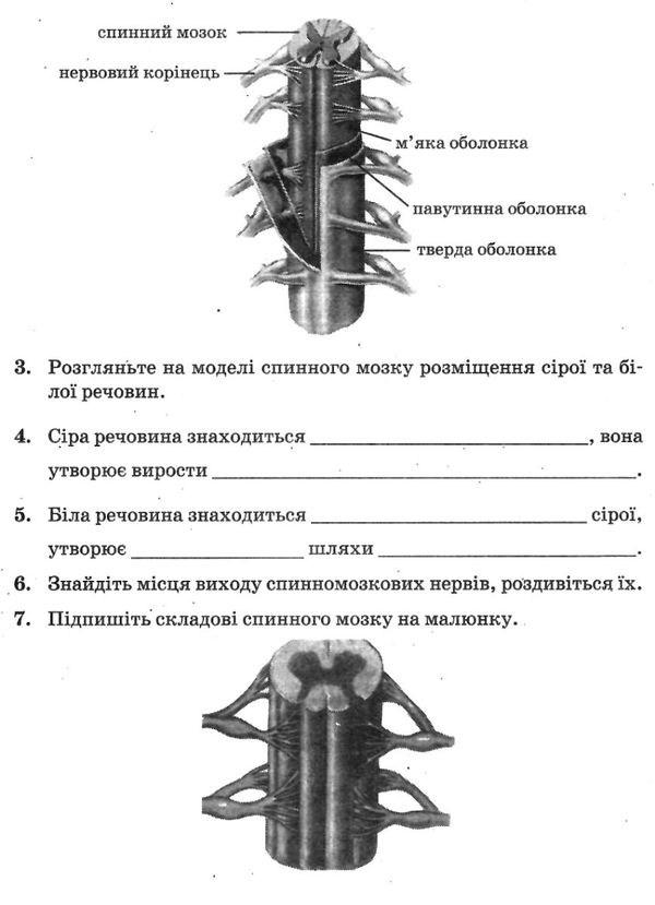 біологія 8 клас зошит для лабораторних досліджень практичних робіт і досліницького практикум  Куліні Ціна (цена) 22.30грн. | придбати  купити (купить) біологія 8 клас зошит для лабораторних досліджень практичних робіт і досліницького практикум  Куліні доставка по Украине, купить книгу, детские игрушки, компакт диски 5