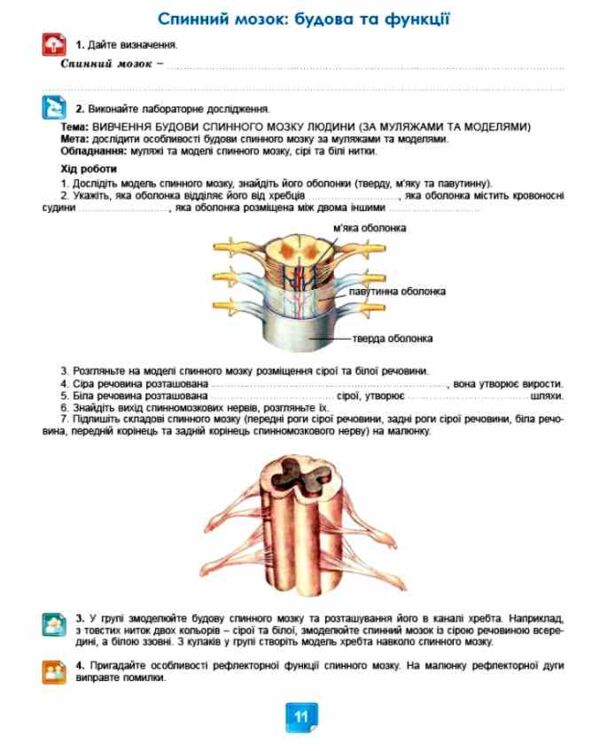 біологія 8 клас робочий зошит Кулініч нуш Ціна (цена) 80.75грн. | придбати  купити (купить) біологія 8 клас робочий зошит Кулініч нуш доставка по Украине, купить книгу, детские игрушки, компакт диски 2