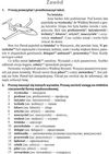 польська мова 6 клас книга для читання 9789660729940 Ціна (цена) 44.50грн. | придбати  купити (купить) польська мова 6 клас книга для читання 9789660729940 доставка по Украине, купить книгу, детские игрушки, компакт диски 3