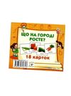 картки міні що на городі росте 18 карток    Джамбі 9789669753717 Ціна (цена) 10.00грн. | придбати  купити (купить) картки міні що на городі росте 18 карток    Джамбі 9789669753717 доставка по Украине, купить книгу, детские игрушки, компакт диски 0