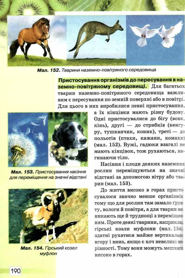 природознавство 5 клас підручник    Світоч Ціна (цена) 131.25грн. | придбати  купити (купить) природознавство 5 клас підручник    Світоч доставка по Украине, купить книгу, детские игрушки, компакт диски 7