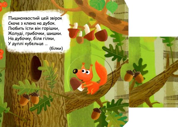 книжка-схованка хто сховався в лісі? книга Ціна (цена) 265.20грн. | придбати  купити (купить) книжка-схованка хто сховався в лісі? книга доставка по Украине, купить книгу, детские игрушки, компакт диски 2