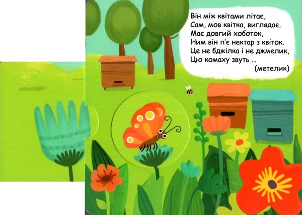 книжка-схованка хто сховався у дворі? книга Ціна (цена) 265.20грн. | придбати  купити (купить) книжка-схованка хто сховався у дворі? книга доставка по Украине, купить книгу, детские игрушки, компакт диски 2