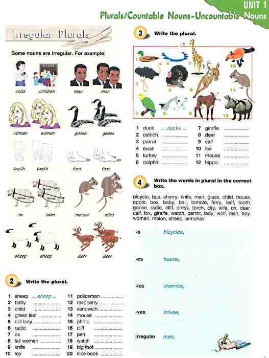 Grammarway 1 (English grammar book with answers) книга    Express Publishing Ціна (цена) 390.00грн. | придбати  купити (купить) Grammarway 1 (English grammar book with answers) книга    Express Publishing доставка по Украине, купить книгу, детские игрушки, компакт диски 3