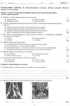 природознавство 5 клас зошит для контролю знань + зошит для практичних робіт та занять купит Ціна (цена) 41.00грн. | придбати  купити (купить) природознавство 5 клас зошит для контролю знань + зошит для практичних робіт та занять купит доставка по Украине, купить книгу, детские игрушки, компакт диски 4