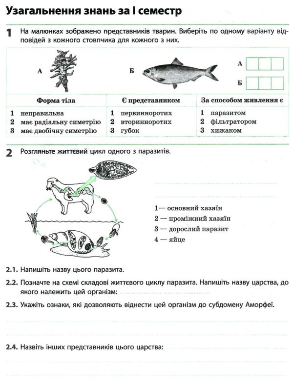 зошит з біології та екології 10 клас рівень стандарт Ціна (цена) 71.08грн. | придбати  купити (купить) зошит з біології та екології 10 клас рівень стандарт доставка по Украине, купить книгу, детские игрушки, компакт диски 7