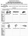 зошит з біології та екології 10 клас рівень стандарт Ціна (цена) 71.08грн. | придбати  купити (купить) зошит з біології та екології 10 клас рівень стандарт доставка по Украине, купить книгу, детские игрушки, компакт диски 10