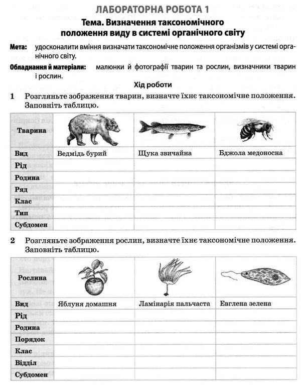 зошит з біології та екології 10 клас рівень стандарт Ціна (цена) 71.08грн. | придбати  купити (купить) зошит з біології та екології 10 клас рівень стандарт доставка по Украине, купить книгу, детские игрушки, компакт диски 10