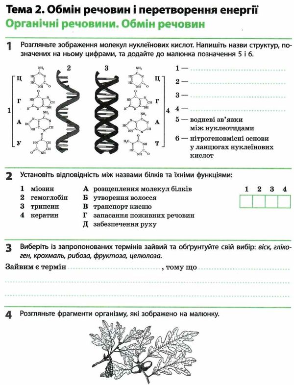 зошит з біології та екології 10 клас рівень стандарт Ціна (цена) 71.08грн. | придбати  купити (купить) зошит з біології та екології 10 клас рівень стандарт доставка по Украине, купить книгу, детские игрушки, компакт диски 5