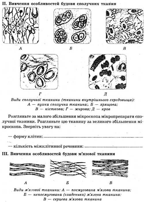 УЦІНКА зошит з біології 8 клас для лабораторних робіт (ПОШКОДЖЕНА ОБКЛАДИНКА) Ціна (цена) 24.40грн. | придбати  купити (купить) УЦІНКА зошит з біології 8 клас для лабораторних робіт (ПОШКОДЖЕНА ОБКЛАДИНКА) доставка по Украине, купить книгу, детские игрушки, компакт диски 6