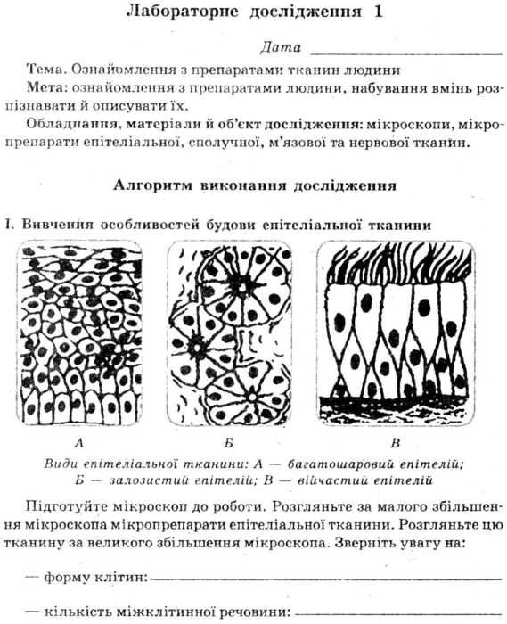УЦІНКА зошит з біології 8 клас для лабораторних робіт (ПОШКОДЖЕНА ОБКЛАДИНКА) Ціна (цена) 24.40грн. | придбати  купити (купить) УЦІНКА зошит з біології 8 клас для лабораторних робіт (ПОШКОДЖЕНА ОБКЛАДИНКА) доставка по Украине, купить книгу, детские игрушки, компакт диски 5