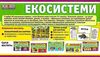 набір карток з малюнками екосистеми    48 карток Ціна (цена) 49.38грн. | придбати  купити (купить) набір карток з малюнками екосистеми    48 карток доставка по Украине, купить книгу, детские игрушки, компакт диски 2