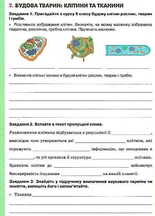 уцінка біологія 7клас робочий зошит нова програма зошит стан вітрина Ціна (цена) 37.00грн. | придбати  купити (купить) уцінка біологія 7клас робочий зошит нова програма зошит стан вітрина доставка по Украине, купить книгу, детские игрушки, компакт диски 7